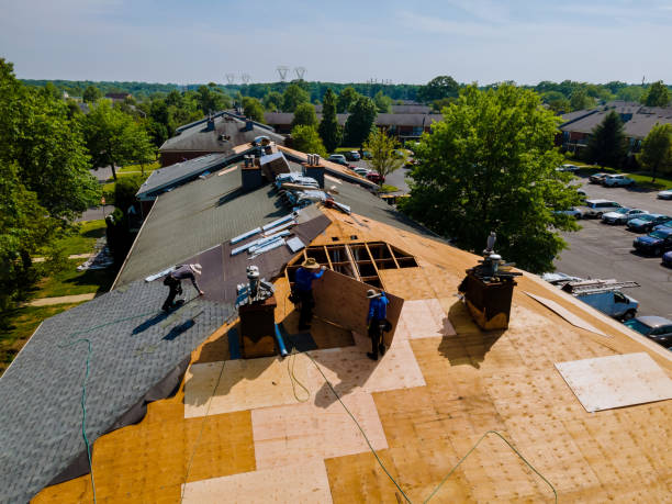Trusted Flat Roof Repair service in Marina del Rey, CA - Brentwood Metal Roofing